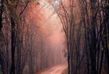 白俄罗斯队被荷兰队完全击溃失利痛苦