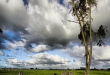 豪门失利暗流涌现，冠军之路难行