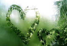 白俄罗斯队被荷兰队完全击溃失利痛苦