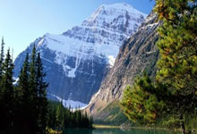 白俄罗斯队被荷兰队完全击溃失利痛苦