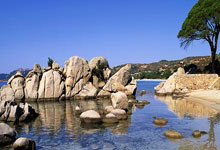 曝杨瀚森选秀当天会到纽约 林葳锁定夏联资格