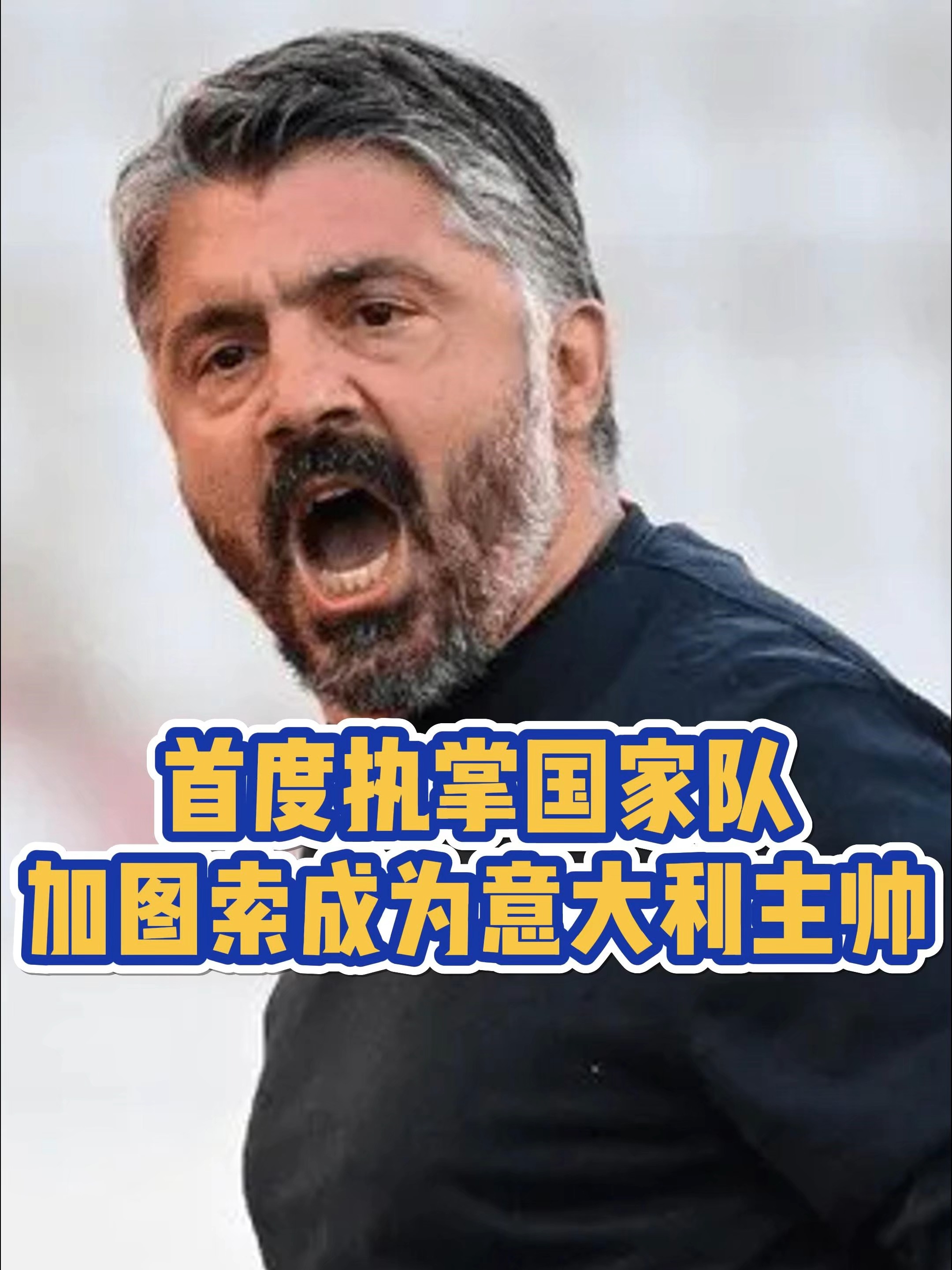 曝加图索将在下周接手意大利队博努奇加入教练组