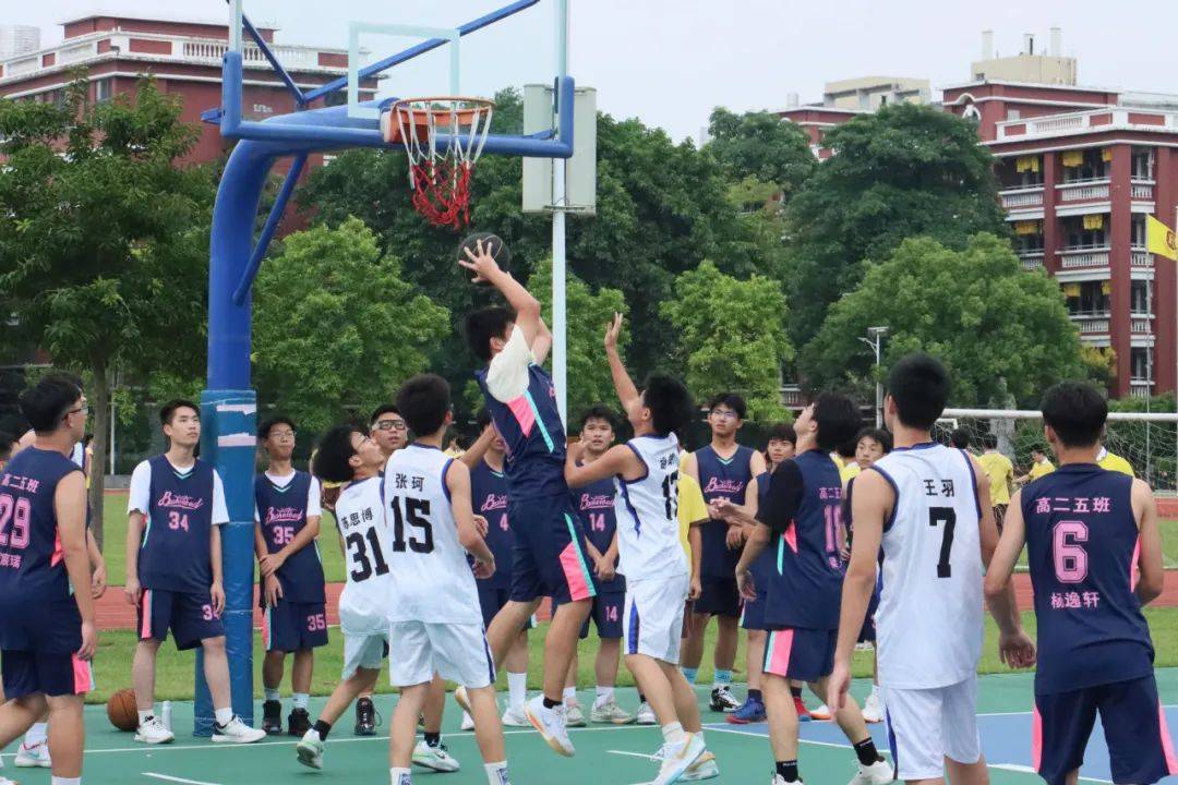 开云体育网站-本次篮球盛事受到大众热烈欢迎